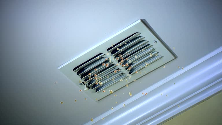 Ductwork Cleaning Services in Anacoco, LA