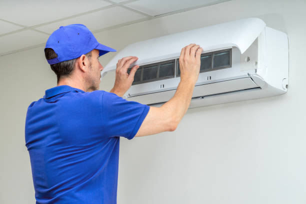 Air Duct Mold Removal in Anacoco, LA